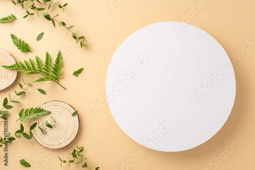 Simple beauty of wild nature concept. Top view photo of empty round frame with eucalyptus and bracken branches and leaves and wooden stands on isolated beige background with copy-space