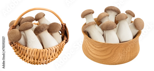 King Oyster mushroom or Eringi in wicker basket isolated on white background with full depth of field. photo