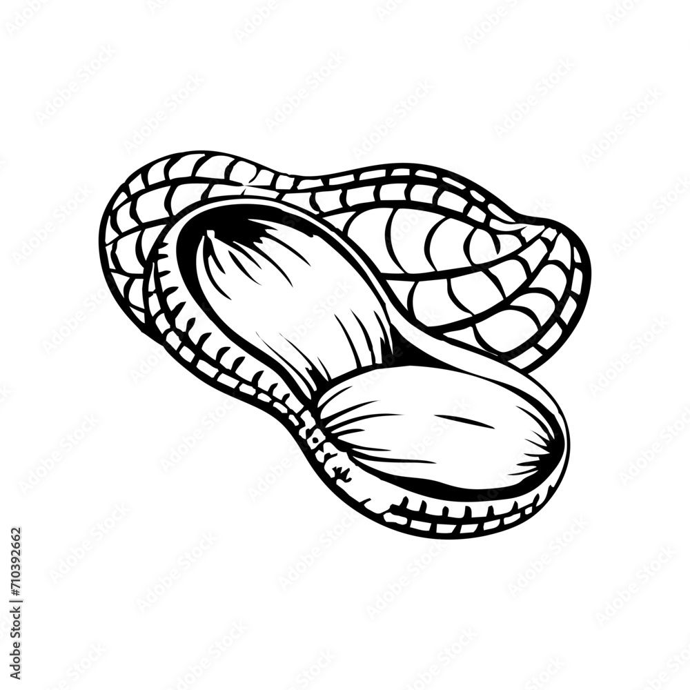 Make a Professional Peanut Line Art Vector Make a Professional Peanut Line Art Vector