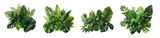 set of Tropical leaves foliage plant jungle bush floral arrangement  (Monstera, palm, fern, rubber plant, pine, bird's nest fern). PNG, cutout, or clipping path.	
