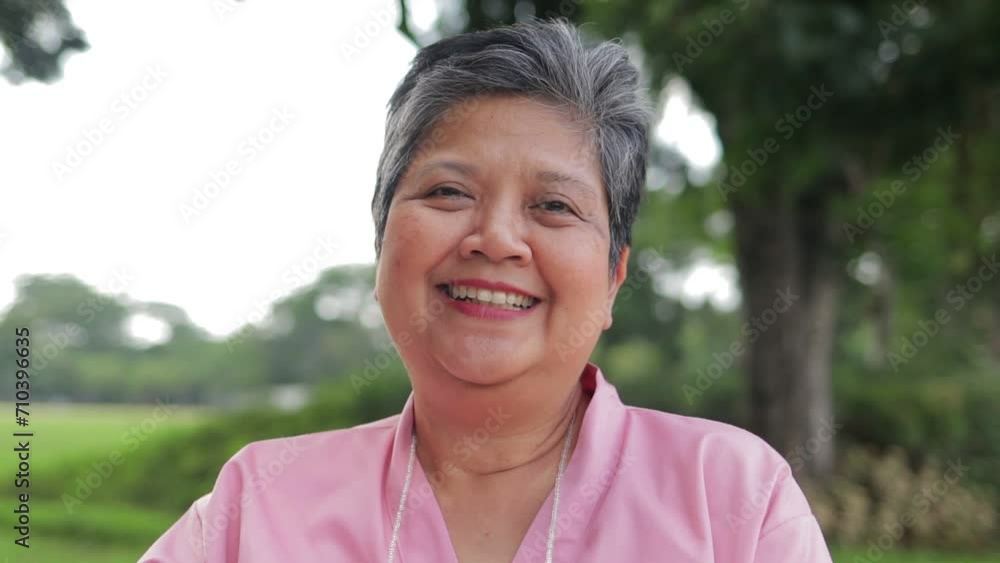 Portrait of an elderly Asian female patient sitting in a wheelchair outside. She smiles happily. Elderly health care. Health insurance Portrait of an elderly Asian female patient sitting in a wheelchair outside. She smiles happily. Elderly health care. Health insurance
