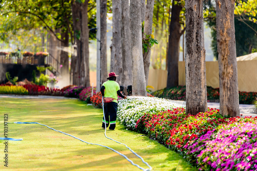 Gardener worker watering the flower trees at natural public park.