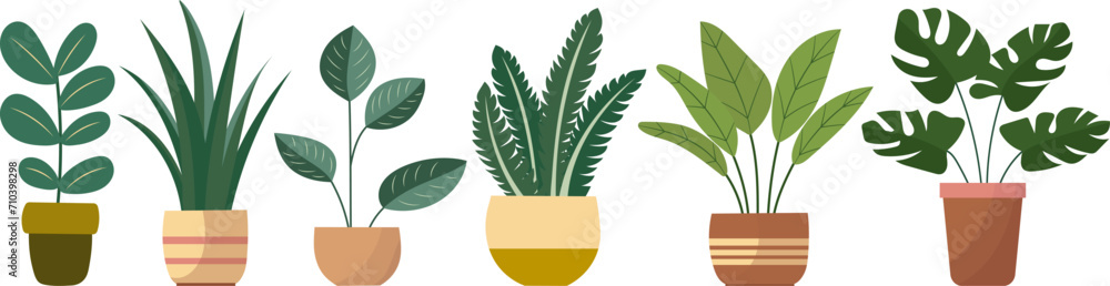 plants in flowerpots, indoor plants in flat style vector - obrazy, fototapety, plakaty 