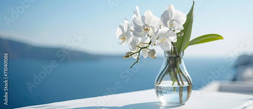 White orchid flower in a glass vase on a white tabletop against the backdrop of the sea and clear blue sky. used for display or montage your products