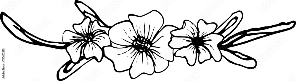 Flower decorative element illustration on transparent background.
Flower decorative element illustration on transparent background.
