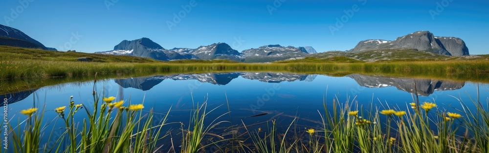 Fototapeta premium Flowering grass against the background of the lake and mountains