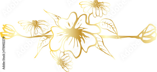 Flower decorative element illustration on transparent background. 