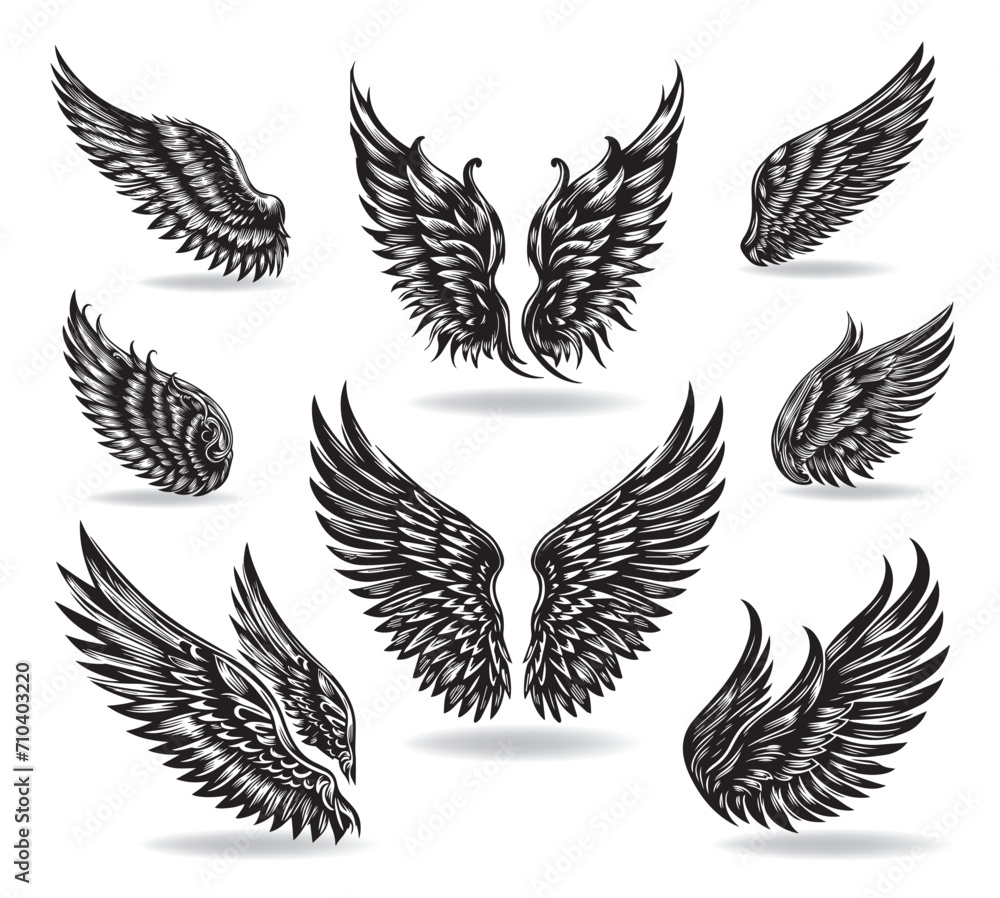 Obraz premium Collection of vector wings the style of engraving