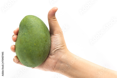 Hand holding fresh organic green mango delicious fruit with thumb finger isolated on white background clipping path