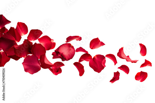 Fototapeta Naklejka Na Ścianę i Meble -  Flying rose petals isolated on transparent background