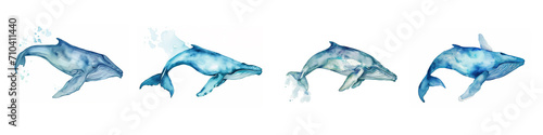 Акварельный набор большого синего кита на белом фоне © kazakova0684