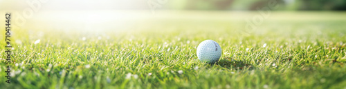 A golf ball sitting in the grass, in the style of bokeh panorama, unprimed canvas, ultrafine detail, rectangular fields, detailed miniatures, close up