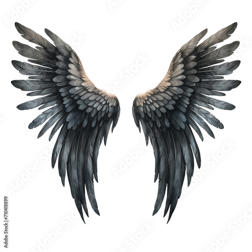 Black feathers Angel wings clipart watercolor illustration with transparent background png 