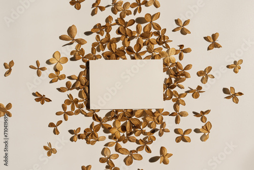 Paper sheet card with blank mockup copy space and dried star flower petals on white background