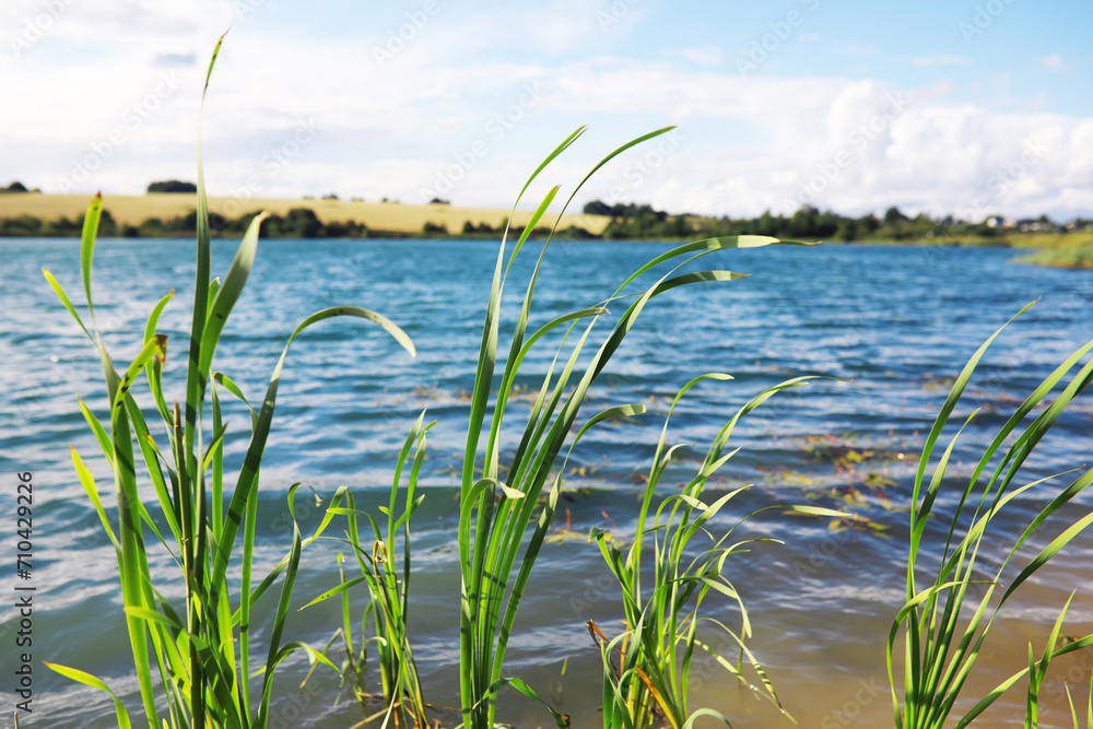 Water surface. The texture of the water. Waves on the lake in windy weather. Water surface. The texture of the water. Waves on the lake in windy weather.