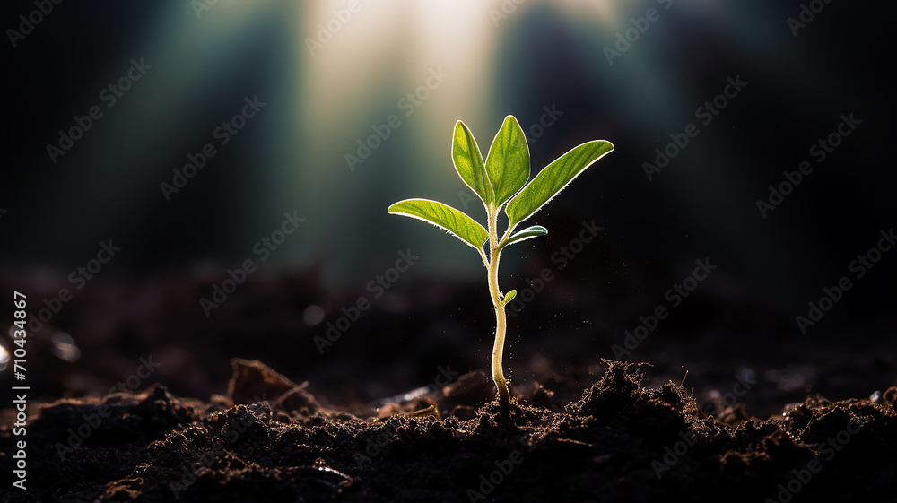 green young tree sprout on a blue blurred background idea business startup investment success - obrazy, fototapety, plakaty 