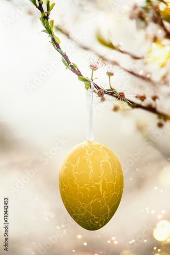 Easter background with hanging yellow easter egg on cherry blossom branch, outdoor