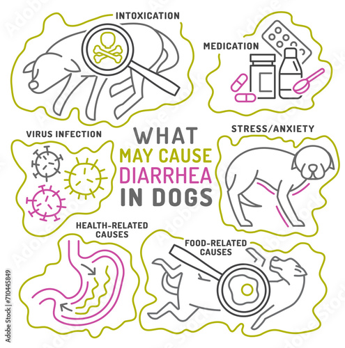 What may cause diarrhea in dogs. Useful medical infographic with line icons