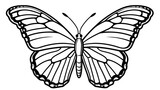 Drawing for children's coloring book cute butterfly. Illustration black line on white background
