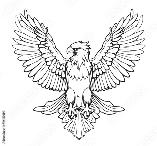 Eagle heraldic sketch hand drawn Vector illustration Birds