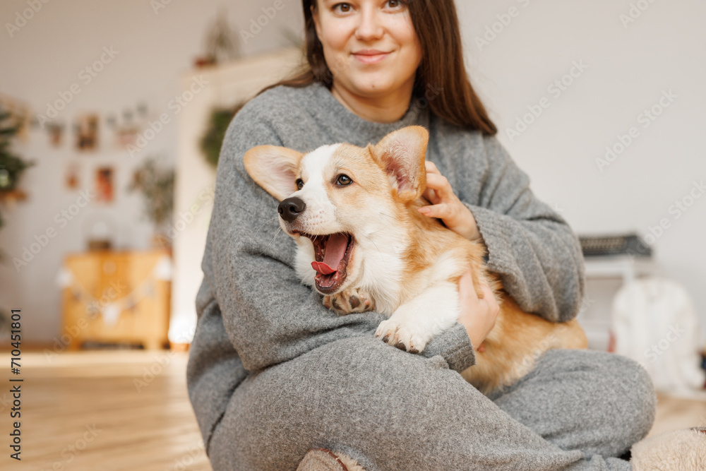 Portrait of adorable, happy smiling dog of the corgi breed. Girl playing with their favorite pet in the beautiful home. Portrait of adorable, happy smiling dog of the corgi breed. Girl playing with their favorite pet in the beautiful home.
