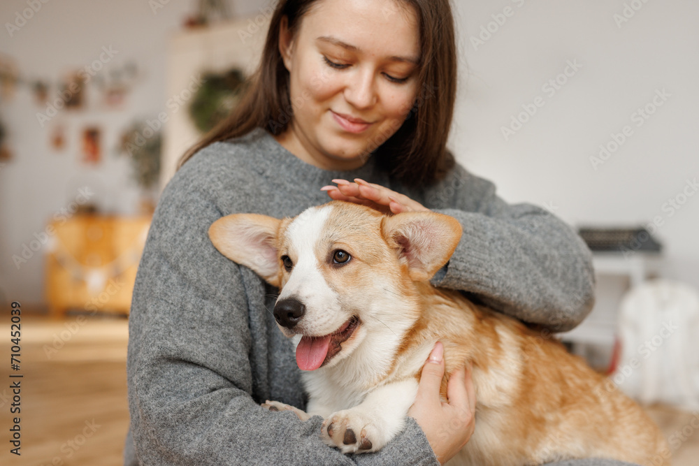 Portrait of adorable, happy smiling dog of the corgi breed. Girl playing with their favorite pet in the beautiful home. Portrait of adorable, happy smiling dog of the corgi breed. Girl playing with their favorite pet in the beautiful home.