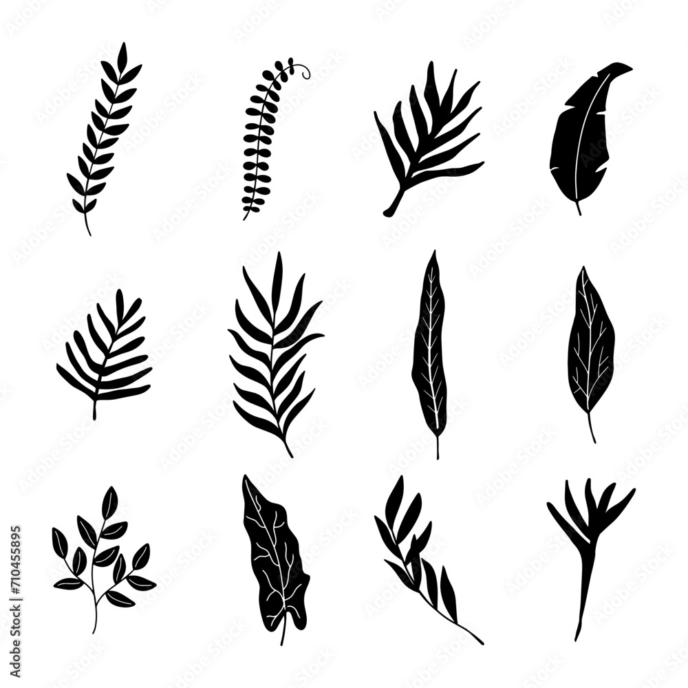 Set of tropical palm leaves silhouette isolated on white background. Set of tropical palm leaves silhouette isolated on white background.