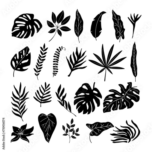 Set of tropical palm leaves silhouette isolated on white background.