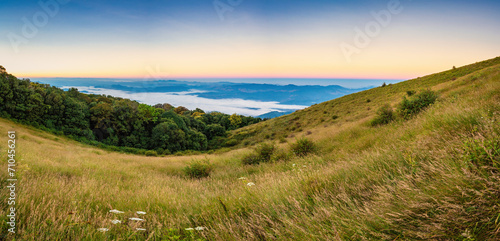 Tropical forest nature landscape view with mountain range and moving cloud mist at Kew Mae Pan nature trail, Doi Inthanon, Chiang Mai Thailand panorama