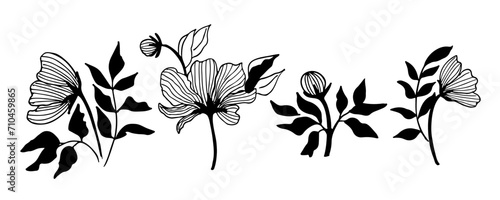 Collection hand drawn flowers roses. Vintage floral background. Vector illustration. Set vintage roses for summer dress fabrics