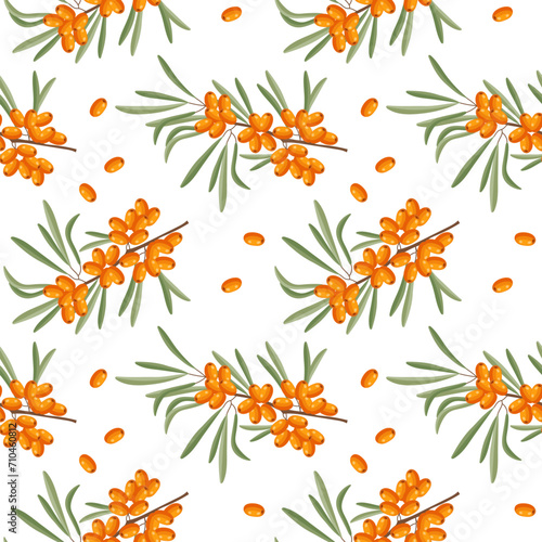 Seamless pattern, sea buckthorn branches and sea buckthorn berries on a white background. Print, background, vector