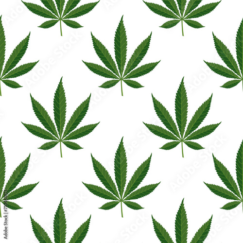 Seamless pattern of hemp leaves. Background of cannabis leaves on a white background. Print, vector