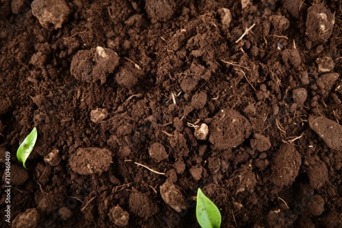 Gardening season with textured fertile soil.