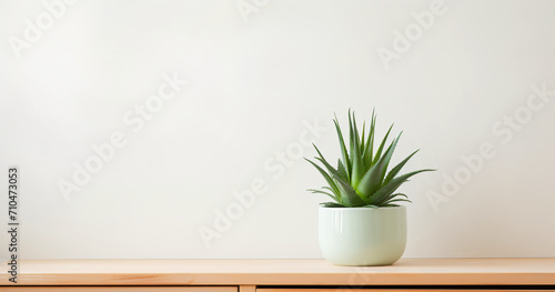 Green aloe Vera in pot on chest of drawers indoors