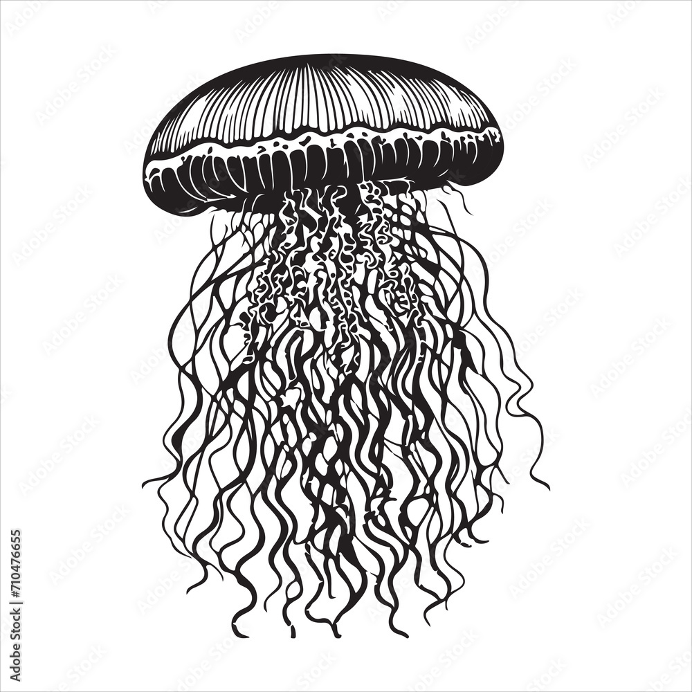 Fototapeta premium jellyfish illustration