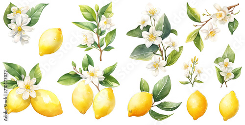 Watercolor lemon clipart for graphic resources photo