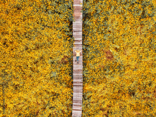 Woman sleeping on a wooden bridge in a flower garden