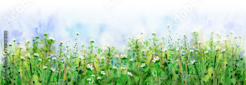 Spring, green, floral background. Watercolor illustration.