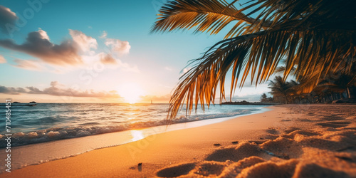 Tropical beach panorama view, coastline with palms, Caribbean sea in sunny day, summer time, Tropical seascape with Palm trees, turquoise sea or ocean under sky with white clouds.
