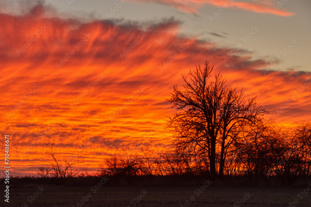 Colorful fiery red sunset sky with clouds and silhouettes of trees. Cold season.