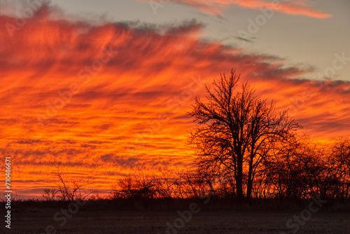 Colorful fiery red sunset sky with clouds and silhouettes of trees. Cold season.