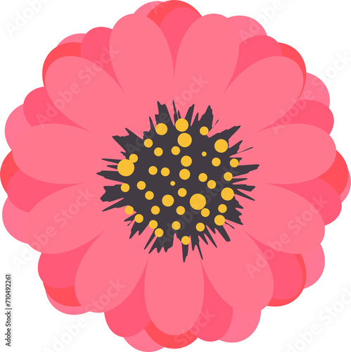 Hand drawn flower illustration on transparent background.