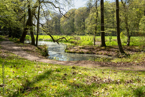 Ditch in woodland Spanderswoud between Hilversum and  s Graveland  Netherlands