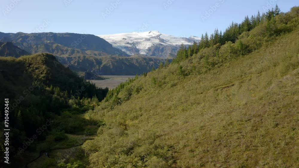 Aerial: Iceland Highlands Thorsmork Famous Glacier Volcano Eyjafjallajokull Forest Valley Aerial: Iceland Highlands Thorsmork Famous Glacier Volcano Eyjafjallajokull Forest Valley