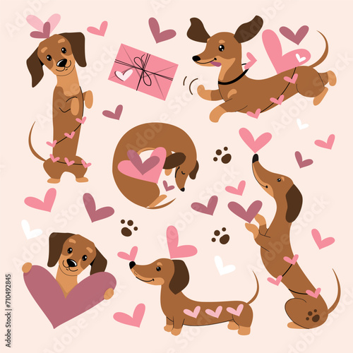 Collection of dachshund dogs with hearts for Valentines day. Vector cartoon doodle illustration