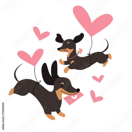 Two dachshund dogs are flying in a heart-shaped balloon. Vector illustration for valentine's day