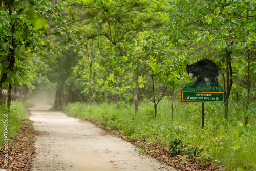 sloth bear or Melursus ursinus signboard display on track or road to educate aware common people and tourist to drive slow as wild animals may cross forest road at pilibhit national park reserve india photo