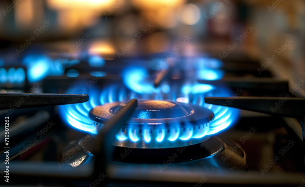 Gas burning from a kitchen gas stove. Gas burning from a kitchen gas stove.