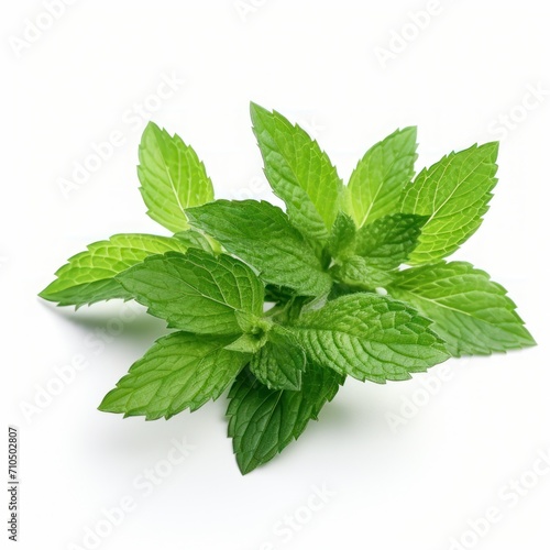 Fresh green mint leaves isolated on white background.