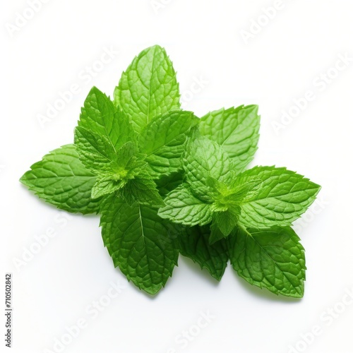 Fresh green mint leaves isolated on white background.